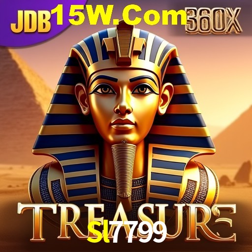 Bonus Features Sl7799